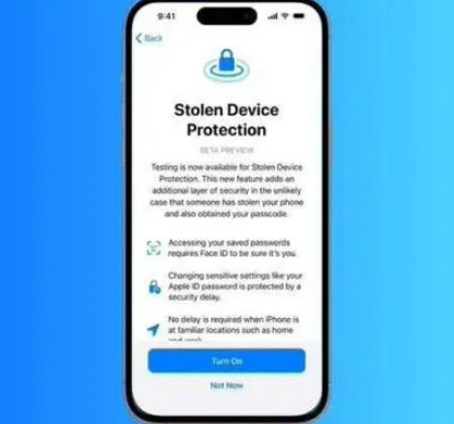 宁河苹果授权维修店分享被盗设备保护功能开启方法 