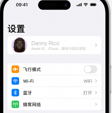 宁河appleID维修服务iPhone设置中Apple ID显示为灰色无法使用