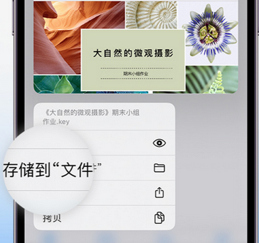 宁河apple维修中心分享iPhone文件应用中存储和找到下载文件