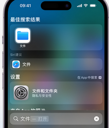 宁河apple维修中心分享iPhone文件应用中存储和找到下载文件