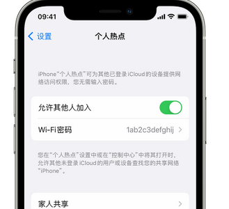 宁河apple服务站点分享iPhone上个人热点丢失了怎么办 