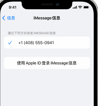 宁河apple维修iPhone上无法正常发送iMessage信息 