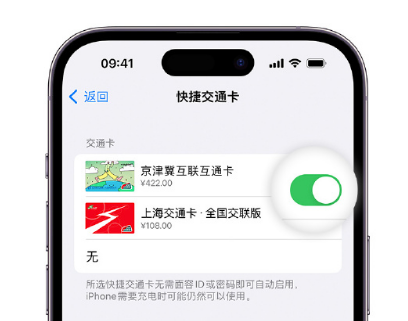 宁河apple维修点分享iPhone上更换Apple Pay快捷交通卡手绘卡面 