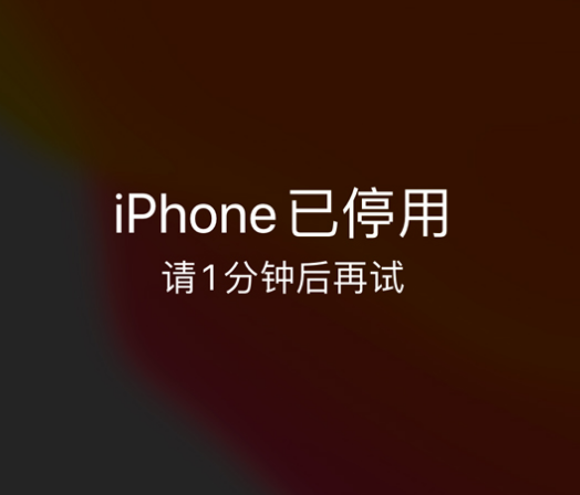 宁河苹果手机维修分享:iPhone 显示“不可用”或“已停用”怎么办？还能保留数据吗？ 