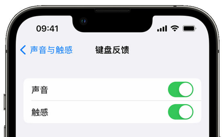 宁河苹果手机维修分享iPhone 14触感键盘使用方法 