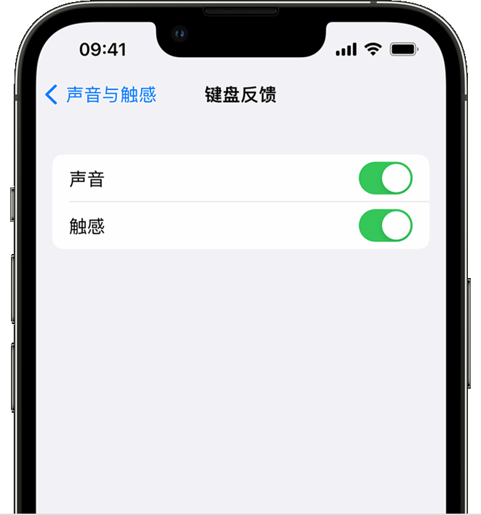 宁河苹果14维修店分享如何在 iPhone 14 机型中使用触感键盘 