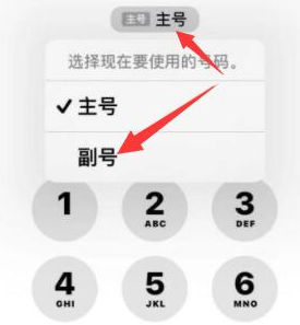 宁河苹果14维修店分享iPhone 14 Pro Max使用副卡打电话的方法 