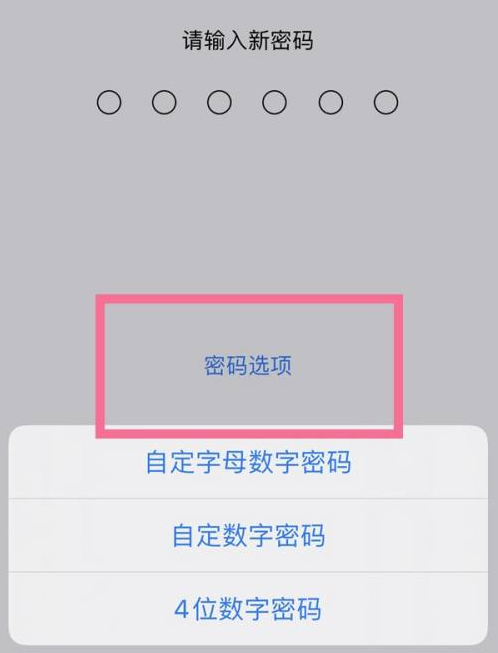 宁河苹果14维修分享iPhone 14plus设置密码的方法 