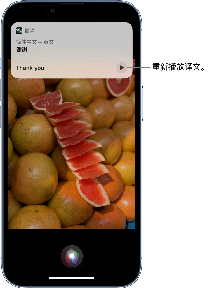 宁河苹果14维修分享 iPhone 14 机型中使用 Siri：了解 Siri 能帮你做什么 