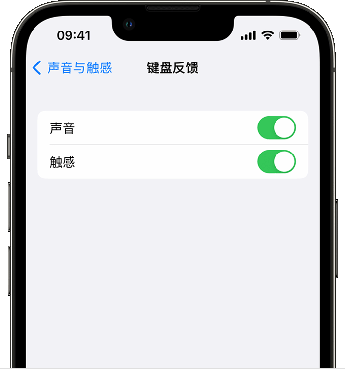 宁河苹果14维修分享iPhone 14 系列机型如何开启键盘声音或触感反馈 