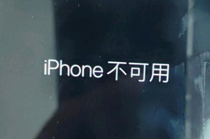 宁河苹果服务网点分享锁屏界面显示“iPhone 不可用”如何解决 