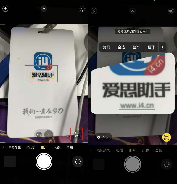 宁河苹果手机维修分享升级iOS 16后如何通过相机翻译文本 