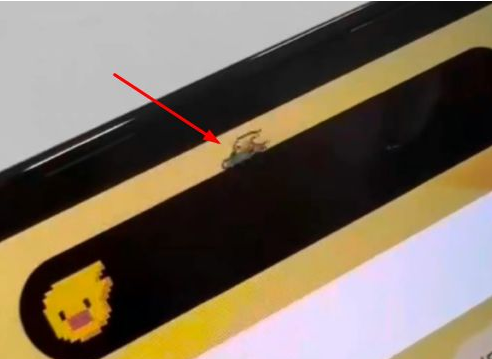 宁河苹果14维修分享iPhone 14 Pro Max灵动岛怎么养宠物 