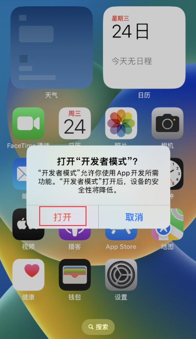 宁河苹果手机维修分享如何打开开发者模式 