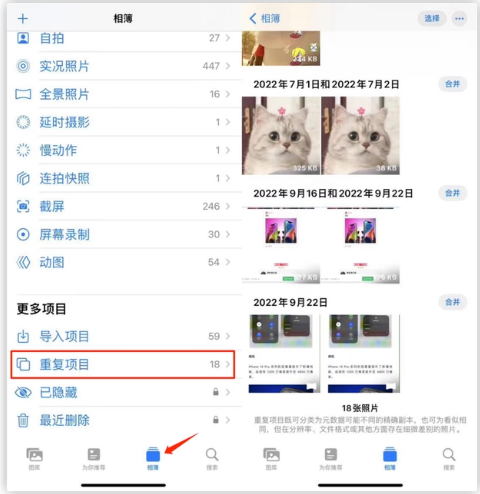 宁河苹果手机维修分享iOS 16 中相册重复项目功能使用方法 