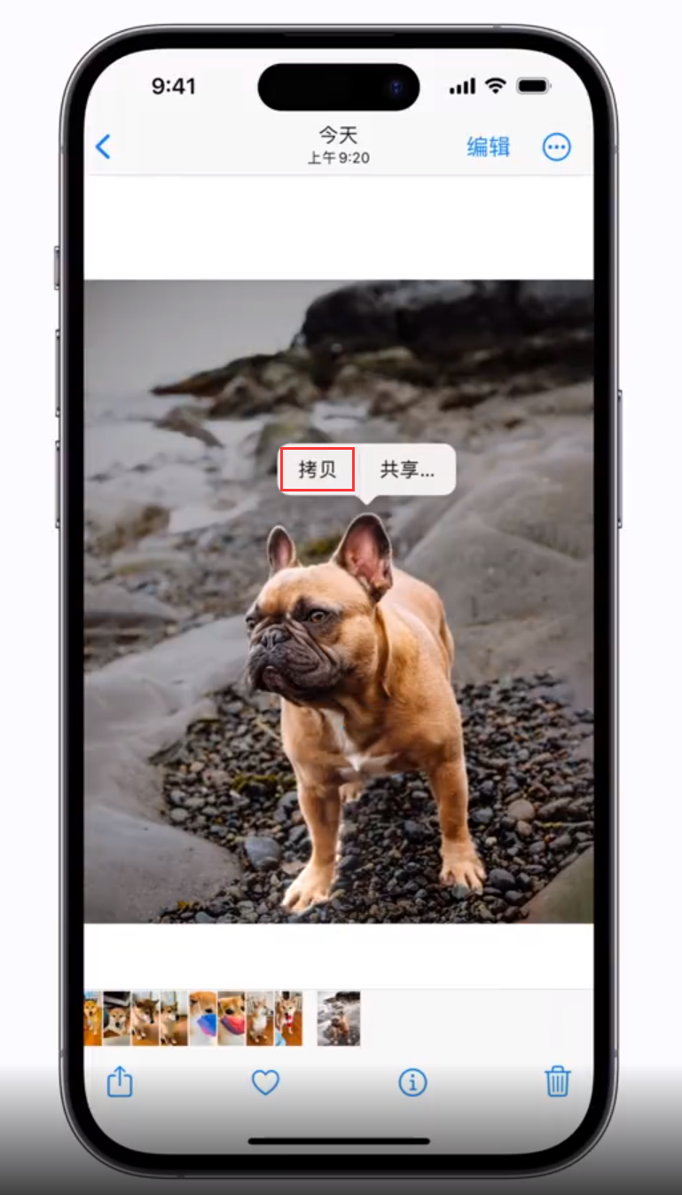 宁河苹果手机维修分享 iOS 16 自带一键抠图功能 
