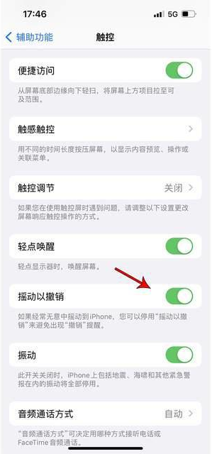 宁河苹果手机维修分享iPhone手机如何设置摇一摇删除文字 