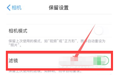 宁河苹果13维修分享iPhone13拍照有绿点是怎么回事 