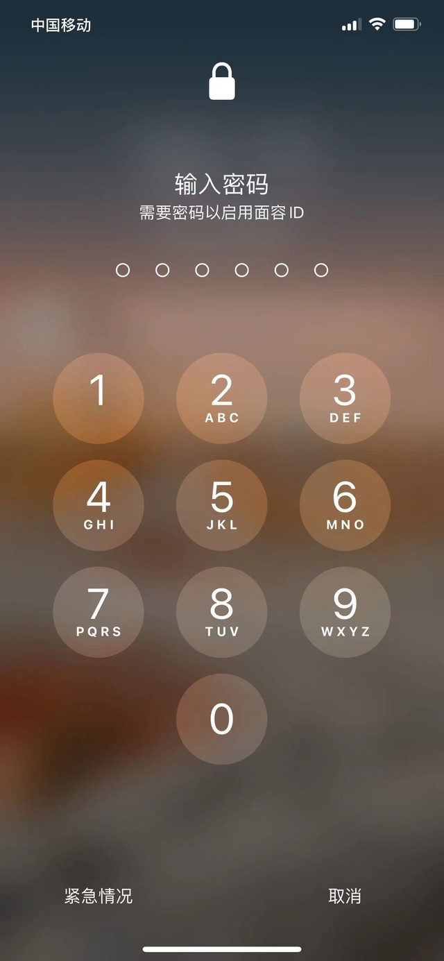宁河苹果13维修分享iPhone 13加强锁屏功能有什么用 