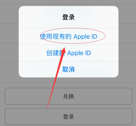 宁河苹果手机维修分享两台iPhone设备可以同时登录一个Apple ID吗 