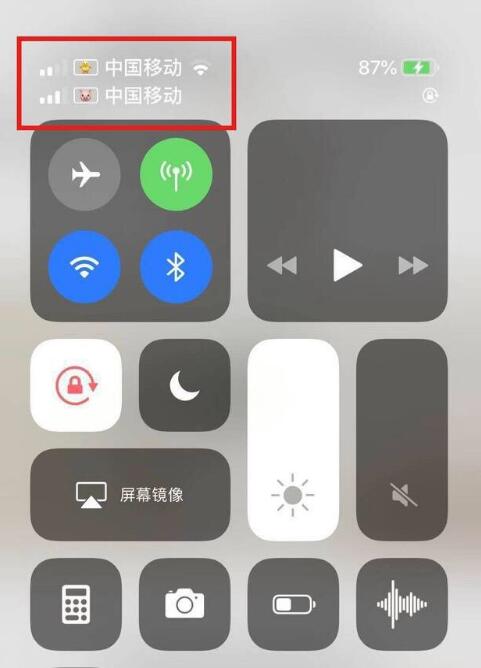 宁河苹果手机维修分享为 iPhone 12 双卡设置标签 