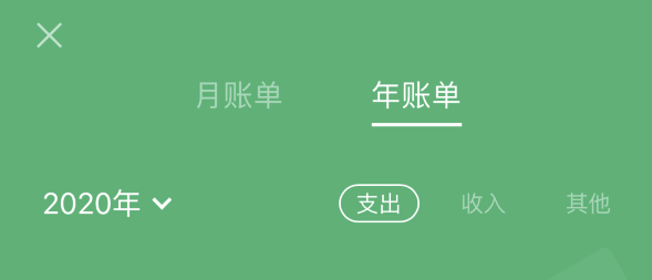 宁河苹果手机维修分享如何在 iPhone 上查看支付宝和微信年支出账单 