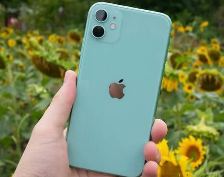 宁河苹果维修点分享iPhone 11锁屏密码认知与使用科普 
